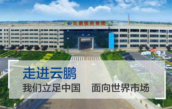 ���i�t(y��)ˎ���F(tu��n)